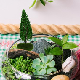 EXCEART 5pcs Miniature Garden Model Tree Tabletop Mini Figure Multi-function Tree Figure Realistic Mini Figurine Models Realistic Tree Figure Ob11 Three-dimensional Plastic Materials