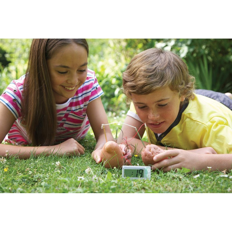 4M Green Science Potato Clock, Science and Activity Kit, Suitable