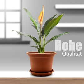 BigDean Set of 4 Flower Pots with Saucers, Round, Diameter 20 cm, Terracotta, Weatherproof Planter, Made in Europe