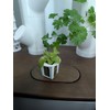 Grow Cubes for Hydroponic System/Compatible with Gardyn (20 Grow Cubes)