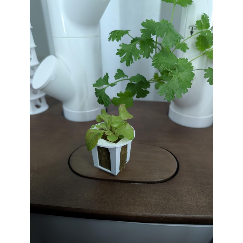 Grow Cubes for Hydroponic System/Compatible with Gardyn (20 Grow Cubes)