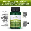 Swanson Ultimate Probiotic Formula Digestive Health Immune System Support 66