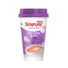 XiangPiaoPiao (SENPURE) Classic Milk Tea With Coconut Jelly, Taro Flavor,