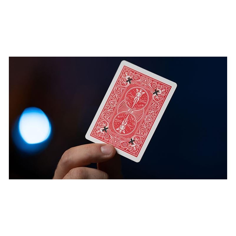 Nicholas Dakin Ink Redible X