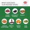 【HEM】Cone Incense, Aroma Incense, Bringing Healing from India (Coconut, 12