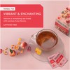 Wissotzky Fruit Galore Herbal Tea (3 Pack - 60 Tea