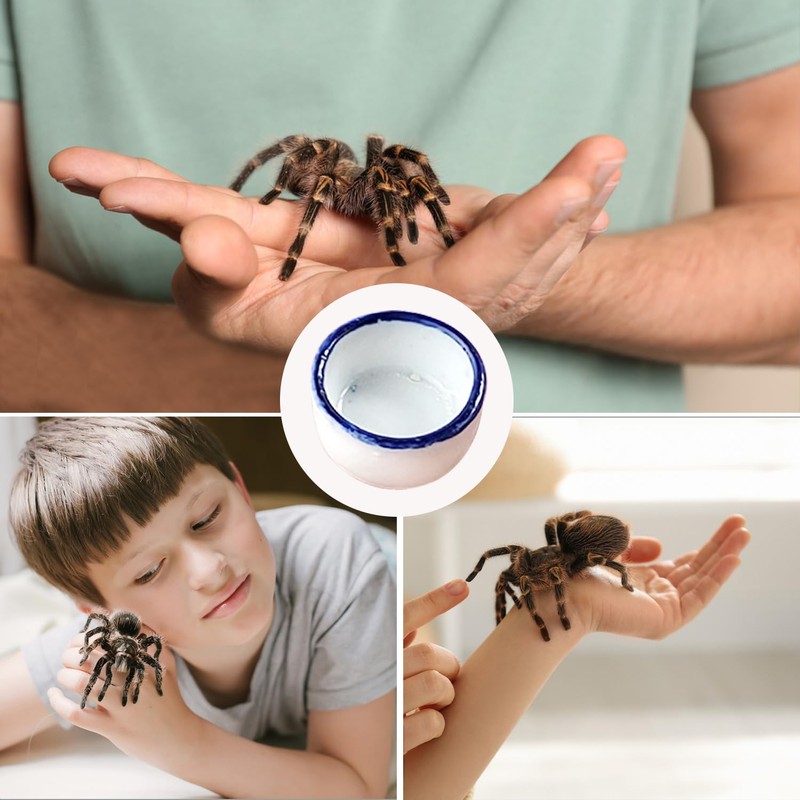 JNAWA Spider Micro Water Bowl Mini Ceramic Dish Reptile Water