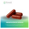 Aceite De Krill Astaxantina 2000 Mg 200 Cápsulas 100 Dosis