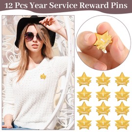 Tigeen 12 Pcs Year Service Reward Pins Star Enamel Pins Year of Service Award Lapel Pin for Long Standing Employees Volunteers Couples Anniversary(1 Year)