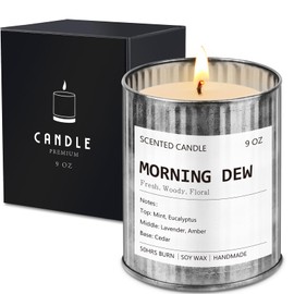 Scented Candles for Men Eucalyptus & Mint Scent Soy Wax Men Candles for Home Scented Father's Day Gift Christmas Valentine Birthday (9oz 40Hour Burn)