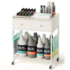 Resiners Resin Mold Storage Cart, Rolling Cart to Organize Resin Supplies, Storage Table for Mica Powder, Pigment, Glitter Powder, Mixing Cups, Mold Accessories