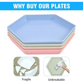 HUOMAQFAN 4 Pieces Deep Unbreakable Plastic Plates, Reusable Hexagonal Small Dinner Plates Set, Assorted Colors Dinnerware Sets for Kitchen, Microwave and Dishwasher Safe