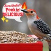 COOL BIRDS Hearts on Fire Hot Bird Seed – 10
