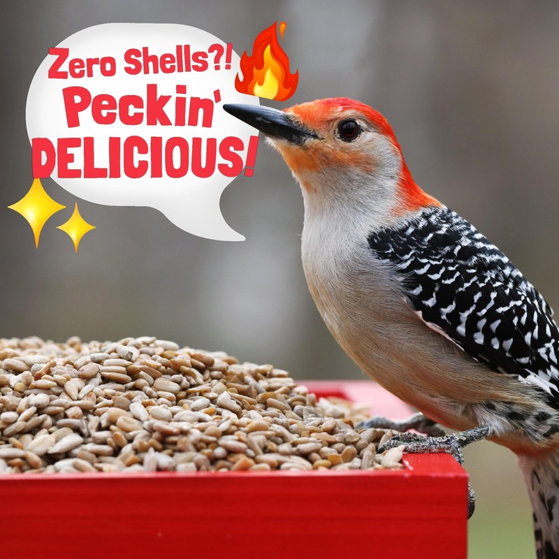 COOL BIRDS Hearts on Fire Hot Bird Seed – 10