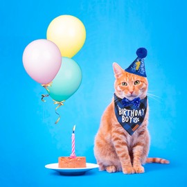 ADOGGYGO ADOGGYGO Cat Birthday Party Supplies, Birthday Boy Plaid Kitten Bandana, Blue Cat Party Hat with Numbers, Bowtie (Blue)