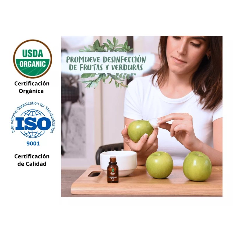 Oleum Vitae Aceite Esencial 100% Puro De Menta 120ml