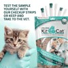 KIT4CAT 2lb Hydrophobic Litter Sand Cat Urine Sample Collection Kit