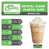 Clear Plastic Disposable Pet Cups | 24 oz Cups, 75