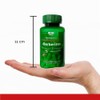 Berberina HCL Pura - Antioxidante - Sin Rellenos 5H8 NUTRITION