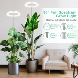 LORDEM 10" Grow Light for Indoor Plants, Full Spectrum Plant Lamp with160 LEDs, 4H/8H/12H Timer, 10 Dimmable Levels, 3 Spectrum Modes, Height Adjustable 65", Ideal for Large Tall Plants, Pack of 2