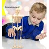 Puzzled 3D Puzzle Human Skeleton Wood Craft Construction Model Kit,