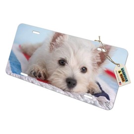 GRAPHICS & MORE West Highland Terrier Westie Puppy Dog Beach Towel Novelty Metal Vanity Tag License Plate