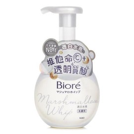 Biore Facial Wash Foam 160ml Gentle Cleansing / 비오레 페이셜 워시 폼 160ml 부드러운 클렌징