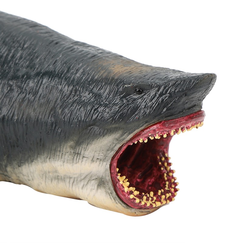 Sharks Model Simulation Marine Ocean Sea Life Toy Animal Rare