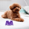 VOSAREA Inserto de Alimentación Lenta para Perros Pequeños, Cuenco para