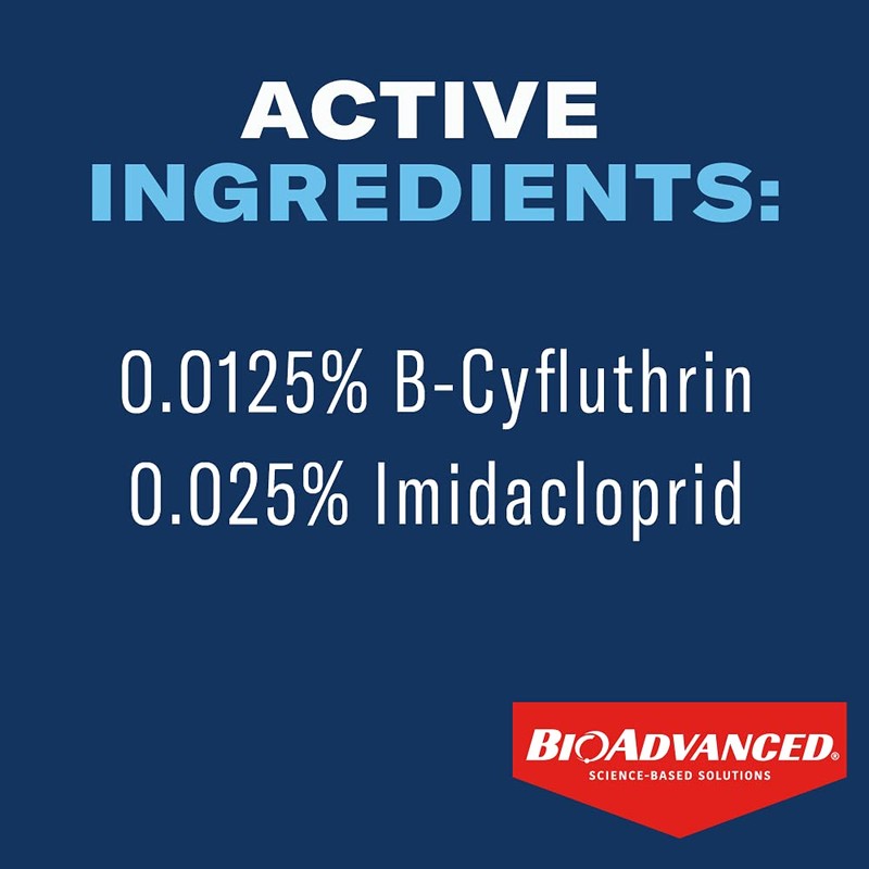 BioAdvanced Dual Action Rose and Flower Insect Killer, Continuous Spray,