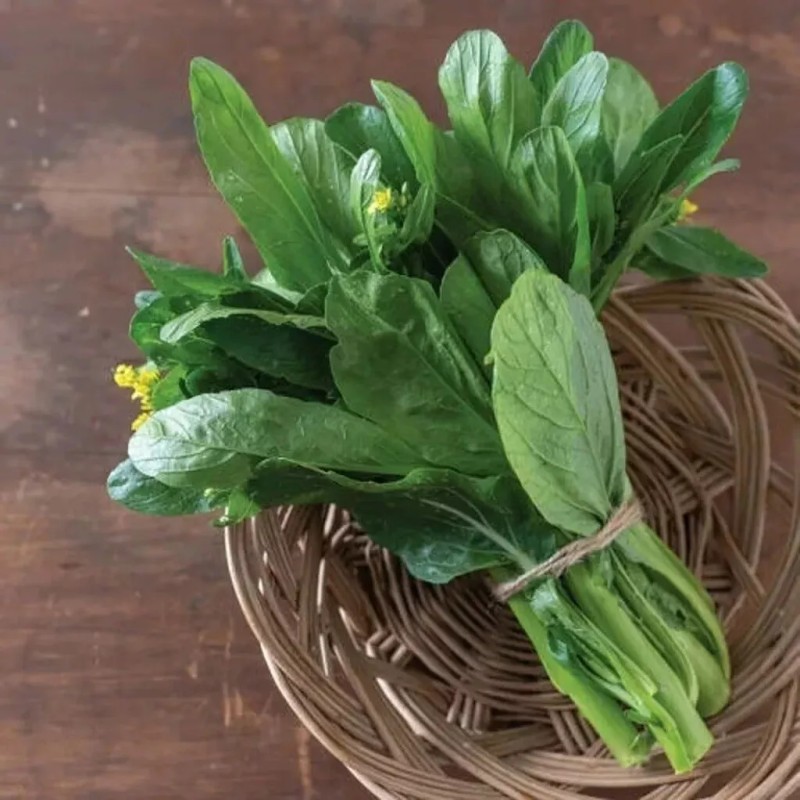 Fairy7Seas Seeds Asian Yu Choy / Choi Sum / Choy