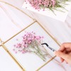 Tinideya 100 Pcs Dried Babys Breath Flowers Bulk Babys Breath