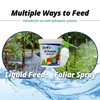 Jack's Classic 20-20-20 All Purpose Water-Soluble Fertilizer with Micronutrients to