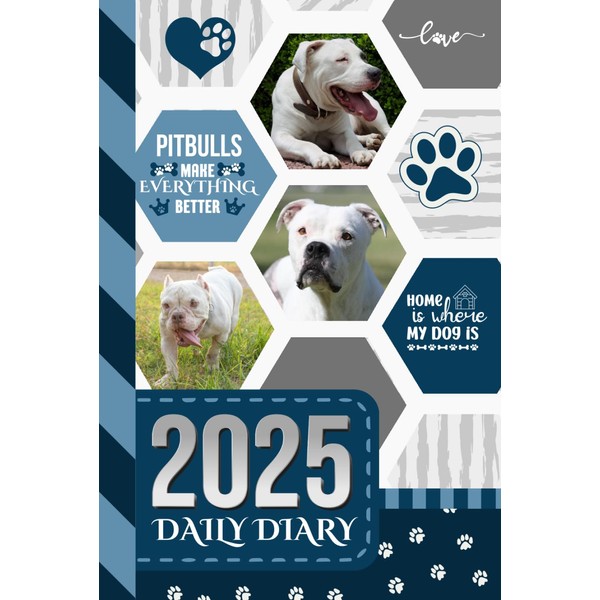 2025 Daily Diary: Hardcover / One Page Per Day /