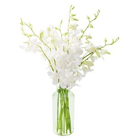 KaBloom Exotic Perla White Orchid Bouquet of White Orchids from Thailand with Vase