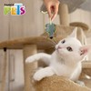 Fancy Pets Catch Juguete Raton Mini para Gato