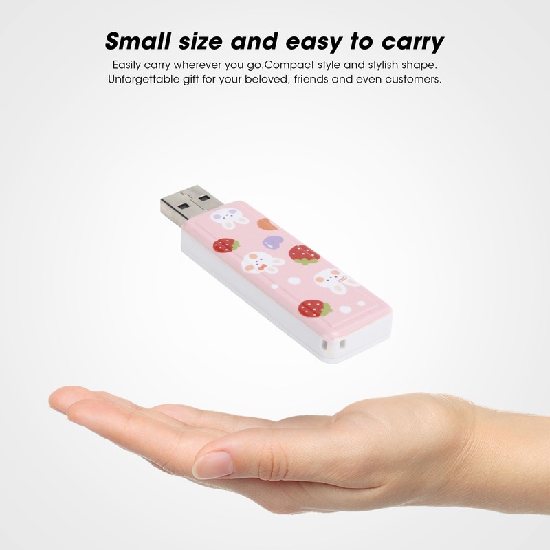 U Disk PushPull USB2.0 Memory Car Flash Drive Computer Accessories