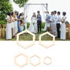 205Pcs Hexagonal Wooden Cutouts 5 Sizes Light Durable Odourless Blank