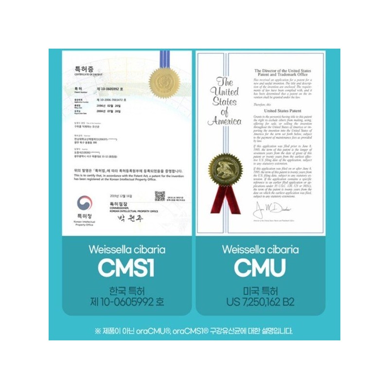 프로덴탈 구강유산균 cmu 오알씨엠유 함유 씹어먹는 츄어블 애플민트향 30정 ProDental
