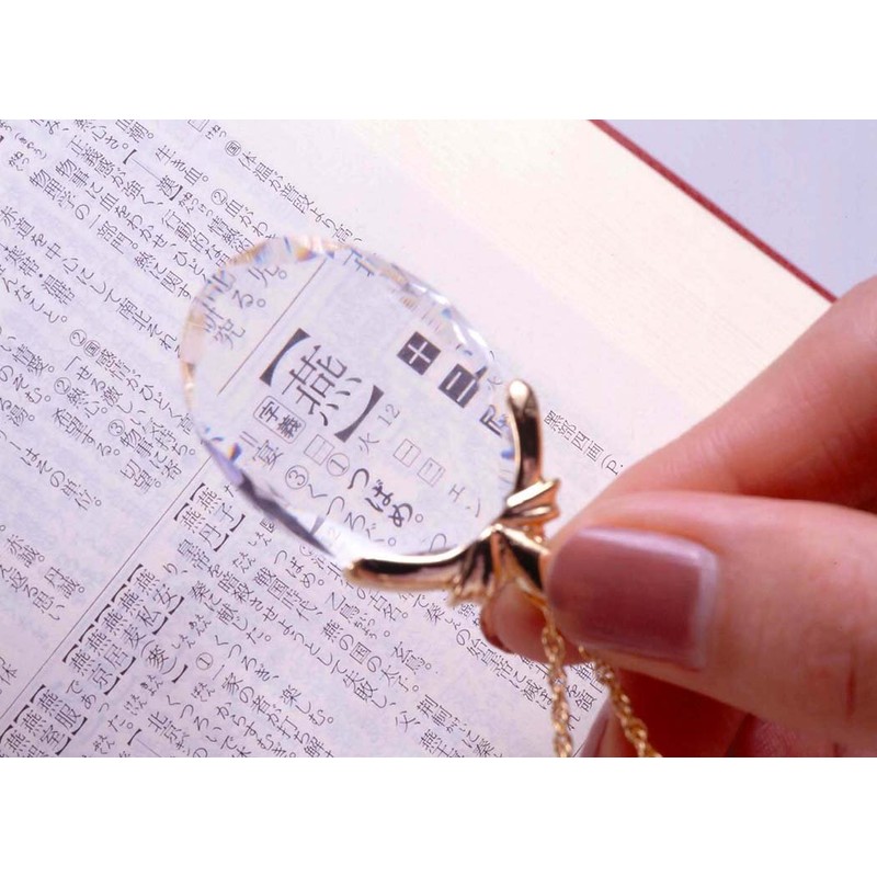 Hogdseirrs Crystal Loupe Pendant Necklace (Gold)