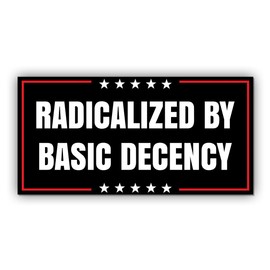 Magnet Sticker Radicalized by Basic Decency Magnetic Anti Funny Leftist Feminist Social Justice Human Rights Black Magnet for Bumper, Refrigerator, Cruise Door, Car, Truck 7.5x3.75in