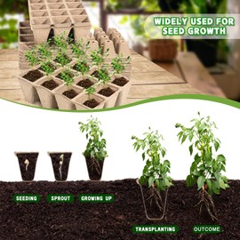 Paquete de 10 bandejas de iniciación de semillas, 120 celdas, macetas biodegradables de iniciación de semillas de germinación, kit de germinación de valor con 20 etiquetas de plantas, 2