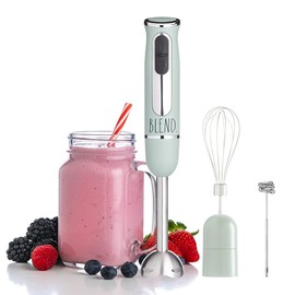 Rae Dunn Immersion Hand Blender- Handheld Immersion Blender with Egg Whisk and Milk Frother Attachments, 2 Speed Blender, 500 Watts, Stainless Steel Blade (Sage)