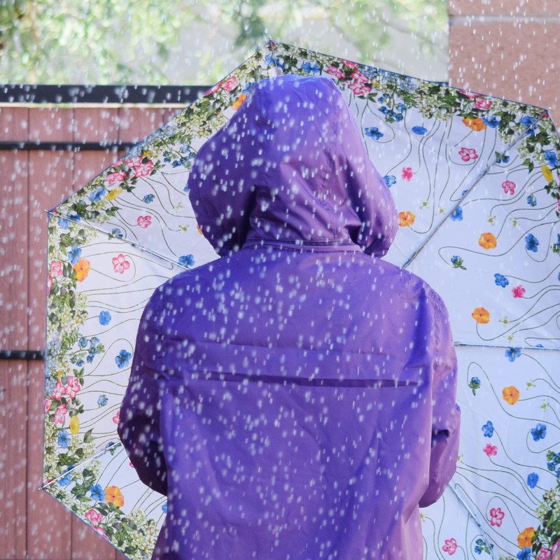 Totes Canopy Print Auto Open Close Umbrella, Floral, One Size,