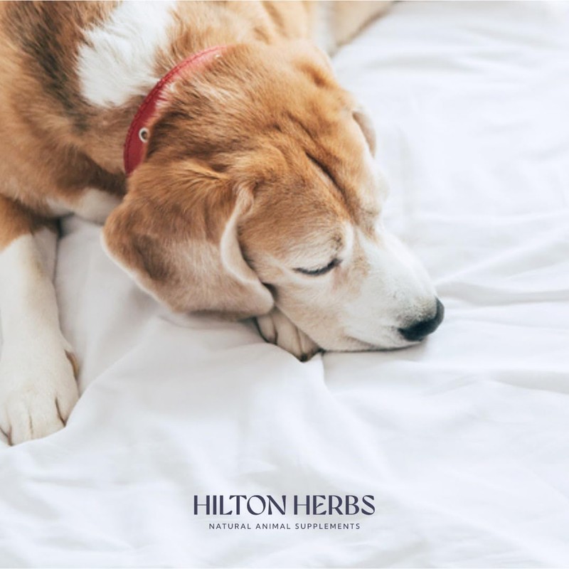 Hilton Herbs Cush X Natural Dog Supplement. 100% Natural Ingredients.