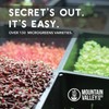 Kale Garden Seeds - Vates Blue Scotch Curled - 1