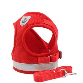 Aosory Cat and Small Dog Vest Harness and Leash Set, Mesh Harness with Reflective Strap, Step-in Adjustable Harness for Small Cats