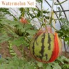 80 Pack Watermelon Nets, 24 Inches Melon Hammock Reusable Hanging