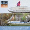 GUEOQTC 3PCS 250 Watt Bird Bath De-Icer with Thermostat, Cast
