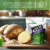 NURTIVE Potato Protein Peptide Powder - Plant-Based, Rich in Nutrients